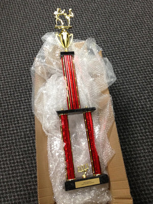 Nerd Weekend V Street Fighter Champion trophy.jpg